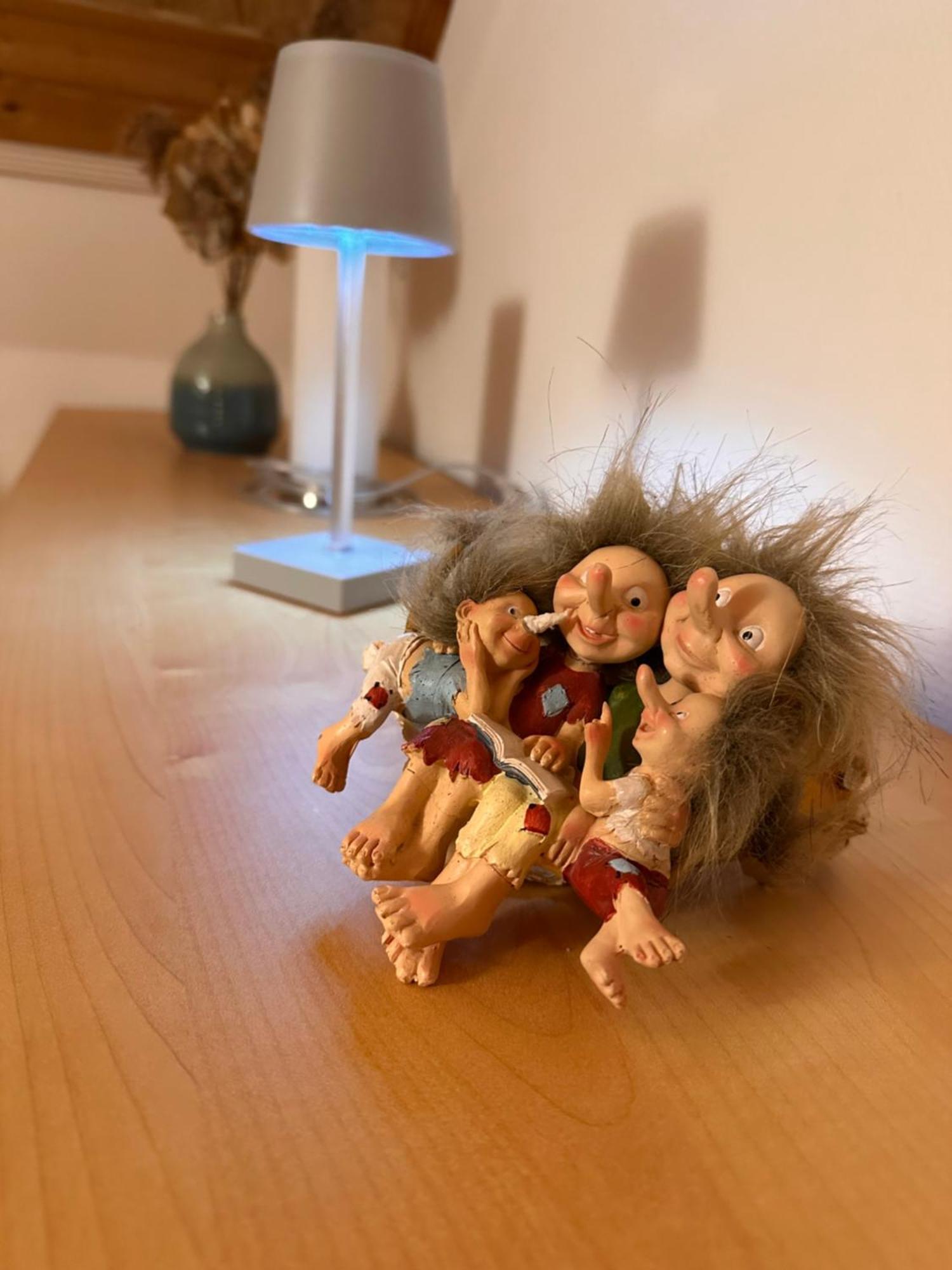 Trollhus - Grosses Familienfreundliches Ferienhaus Born Eksteriør bilde