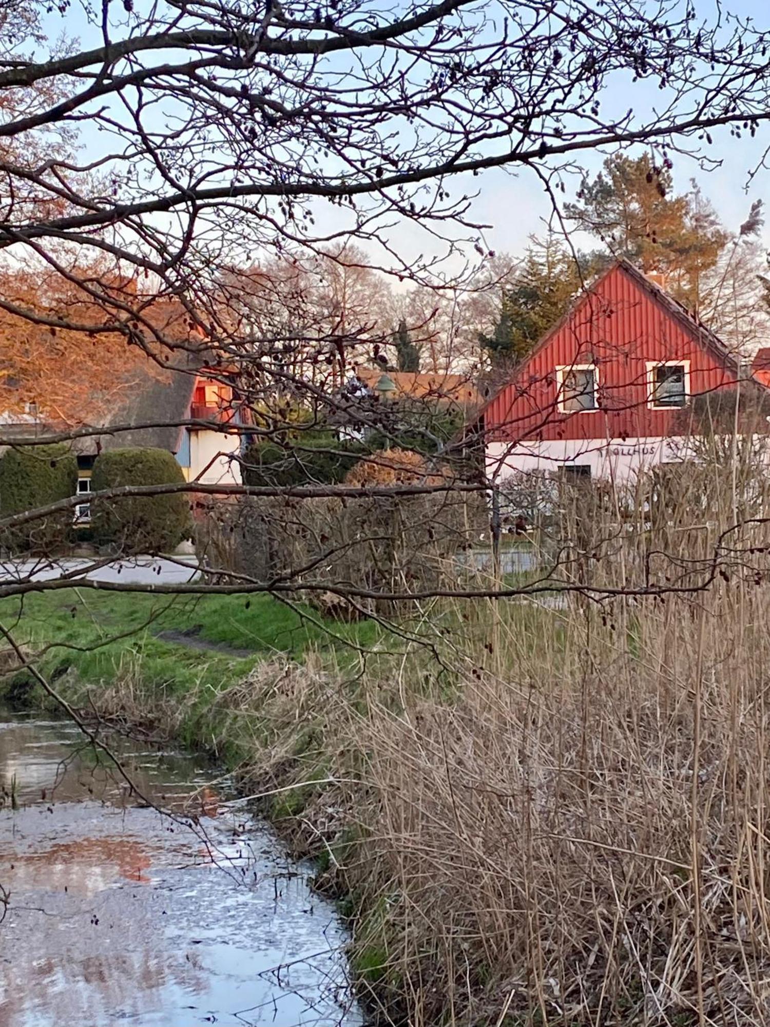 Trollhus - Grosses Familienfreundliches Ferienhaus Born Eksteriør bilde